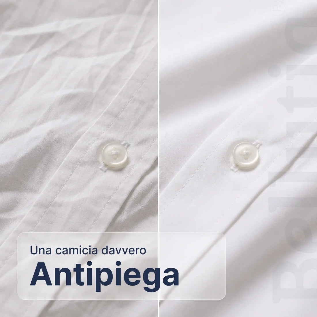 Camicia Aderente a Maniche Corte