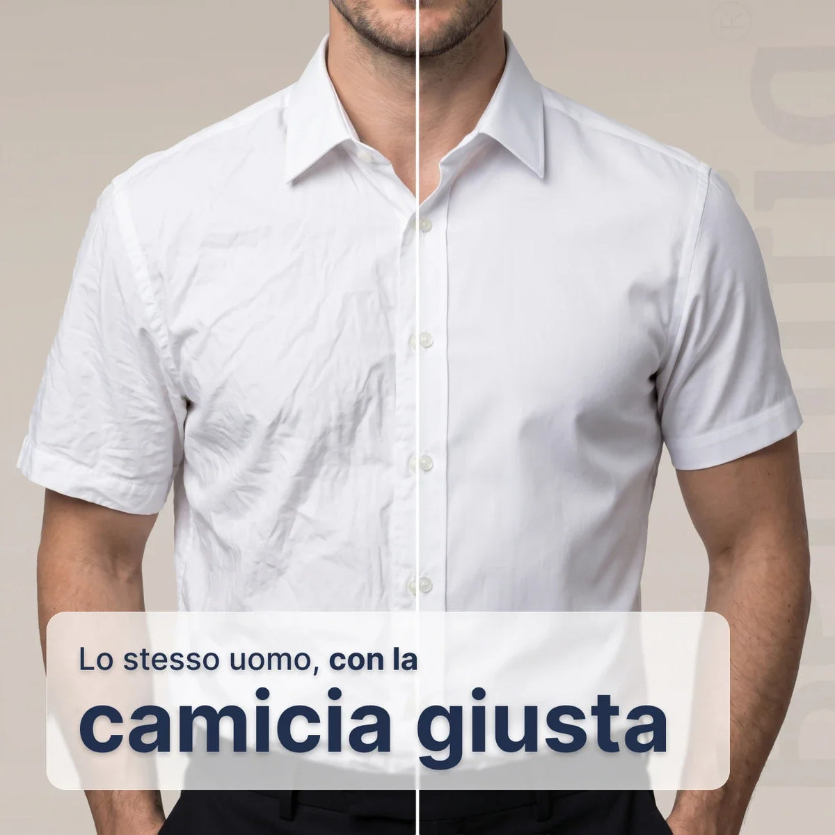 Camicia Aderente a Maniche Corte