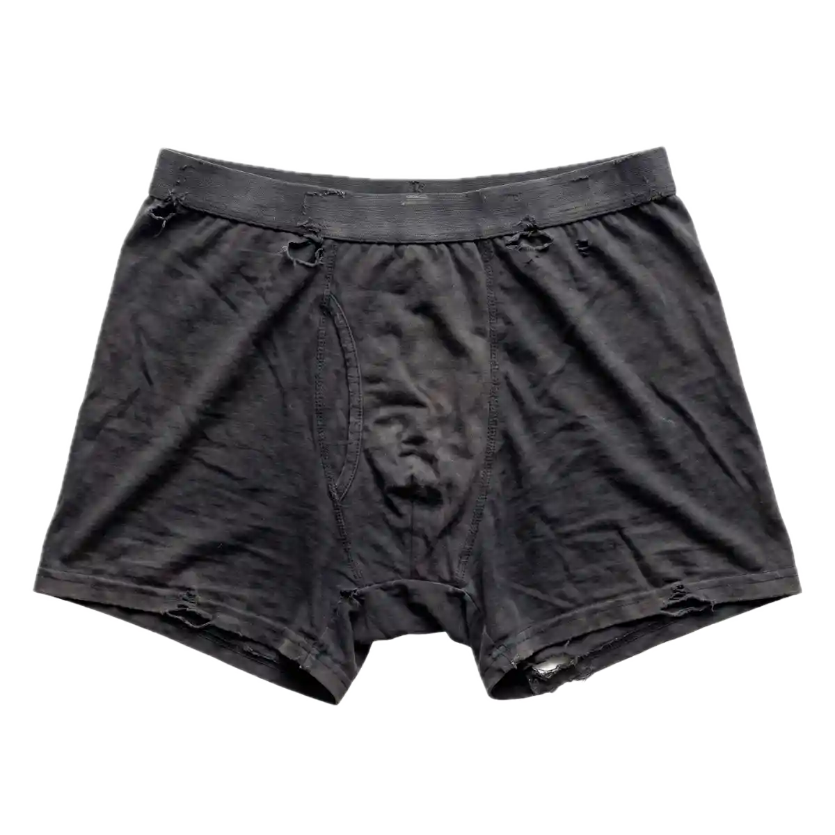 vecchio-boxer